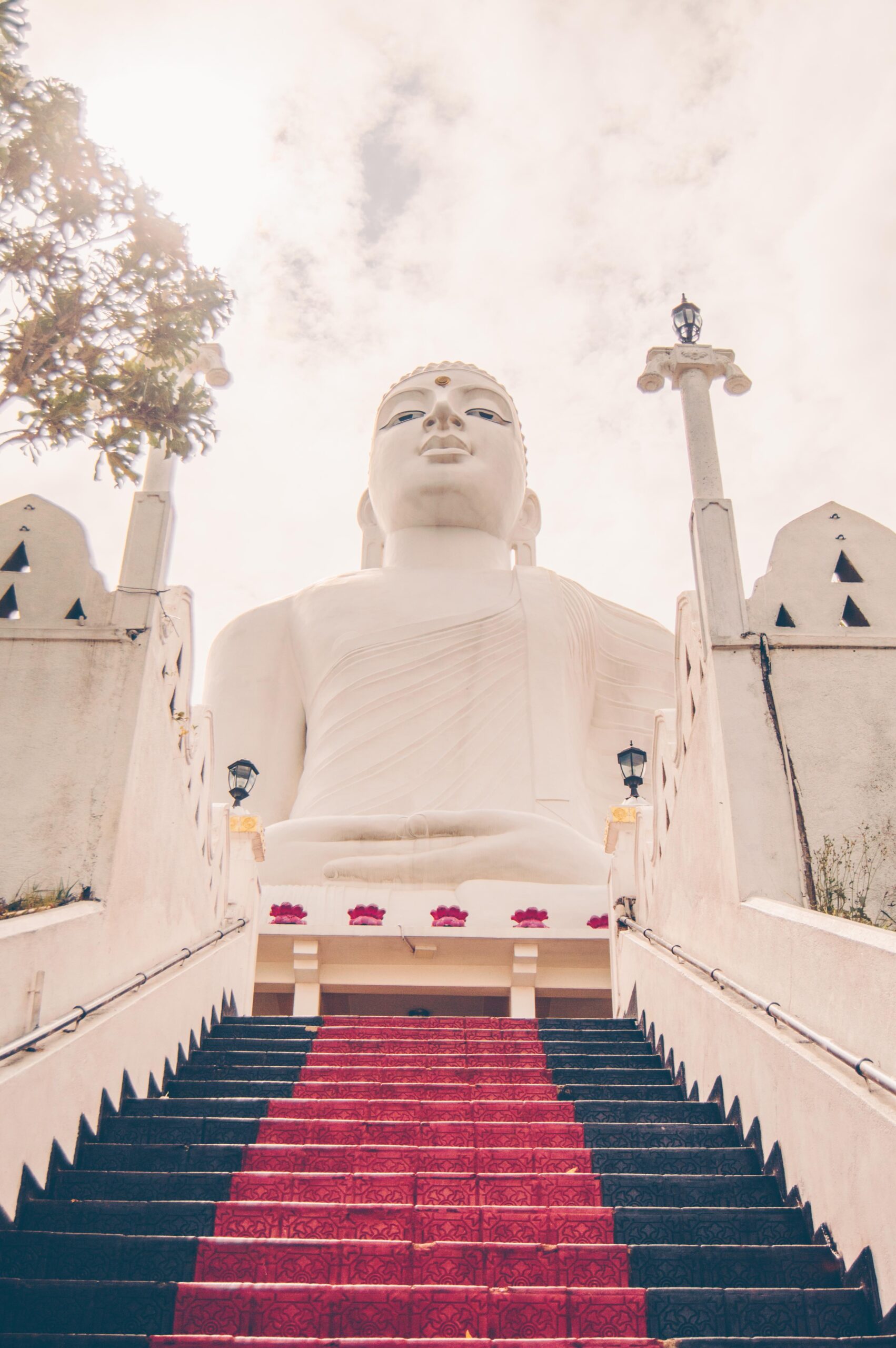KANDY1.jpg