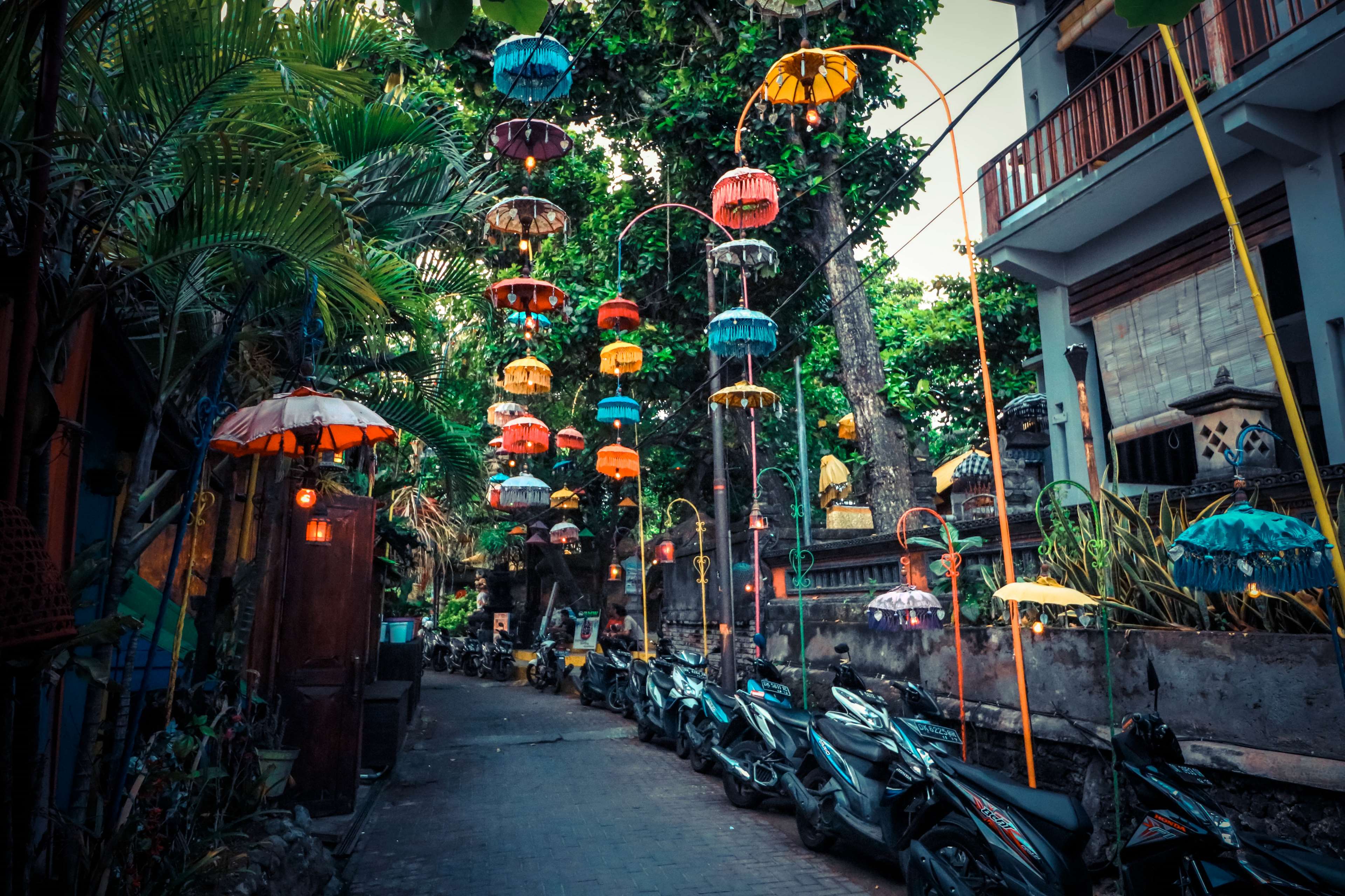 BALI2.jpg