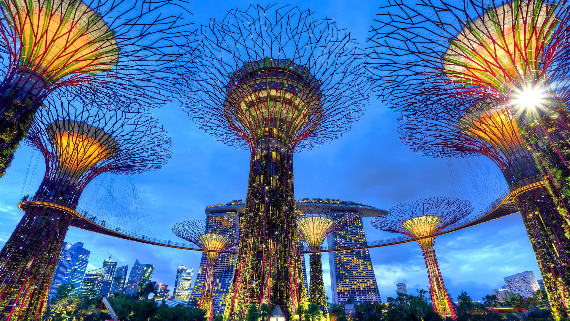 singapore1.jpg