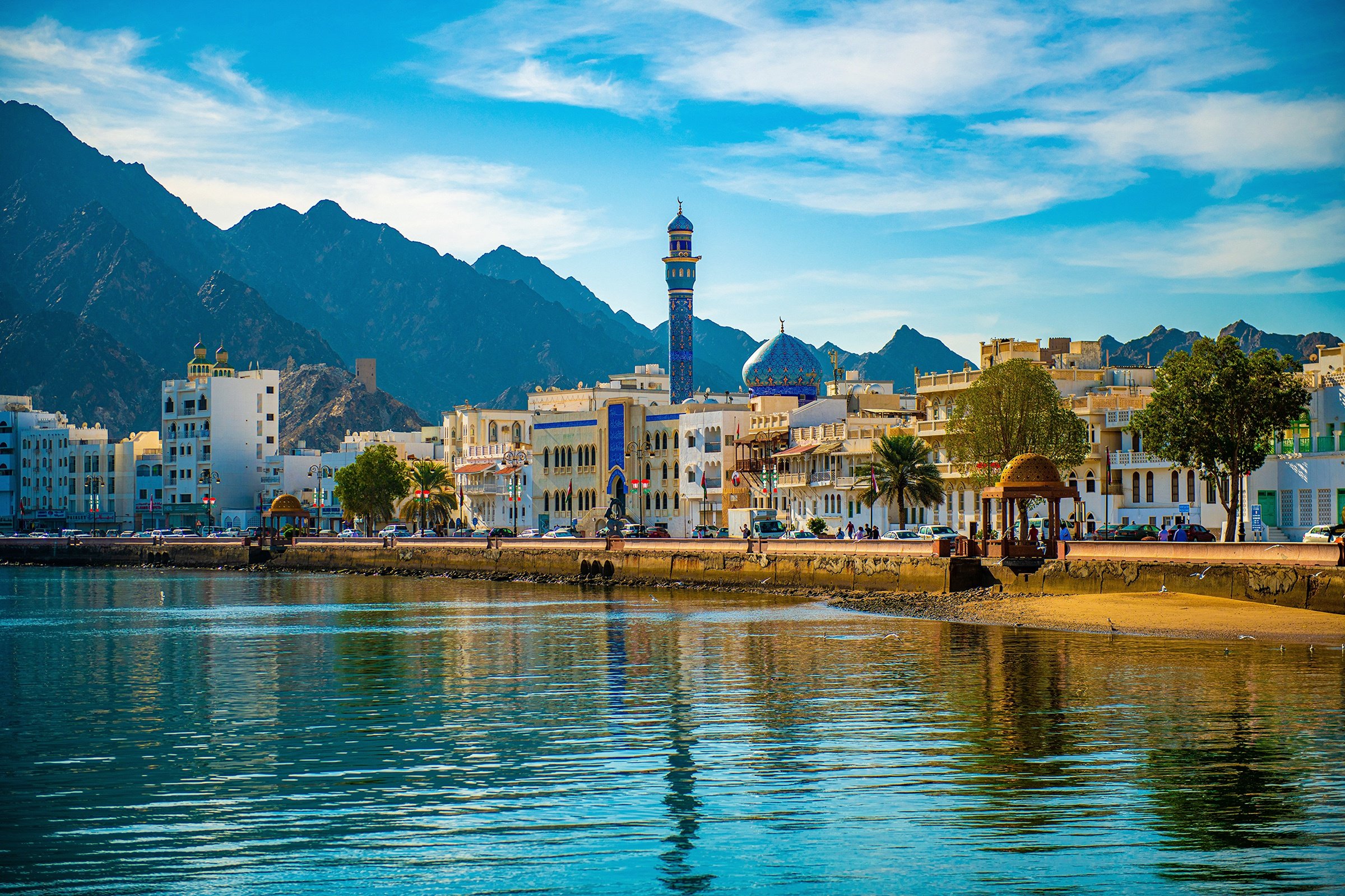 MUSCAT6.jpg