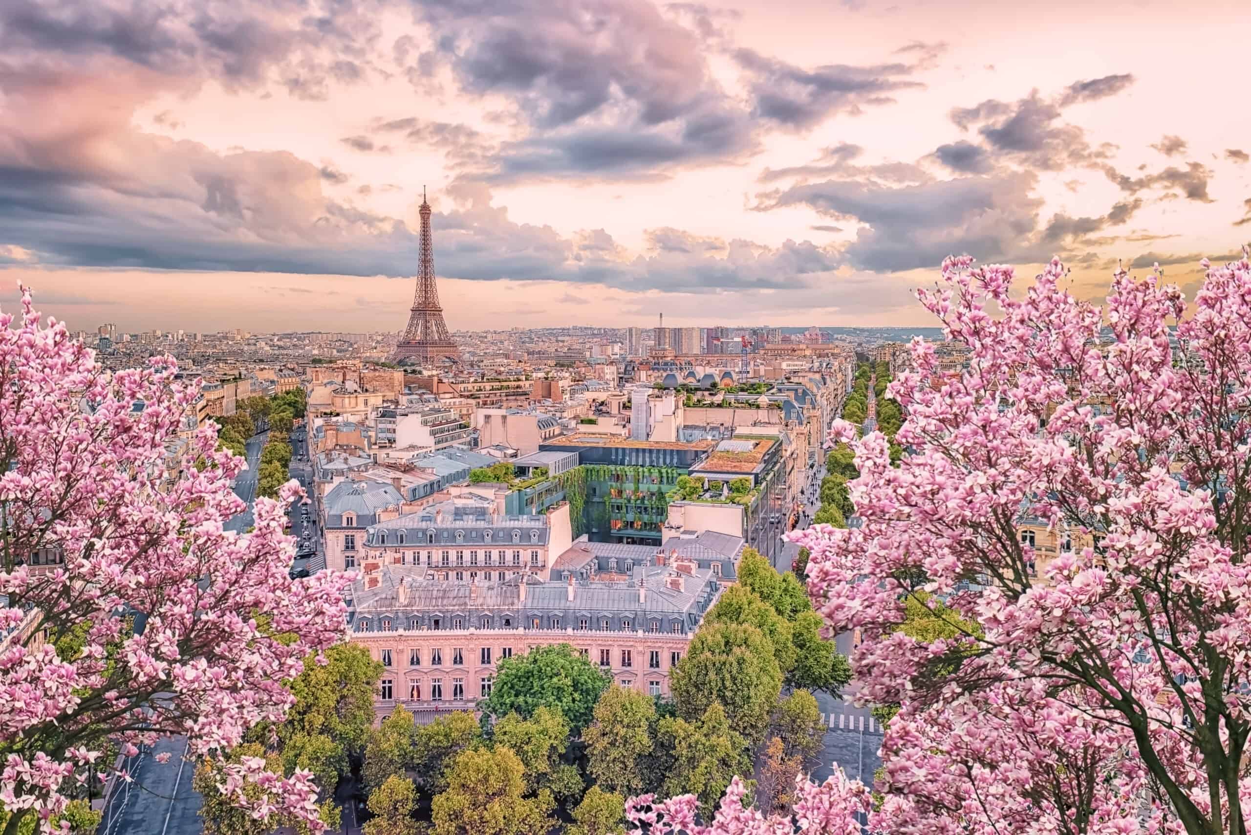 PARIS2.jpeg