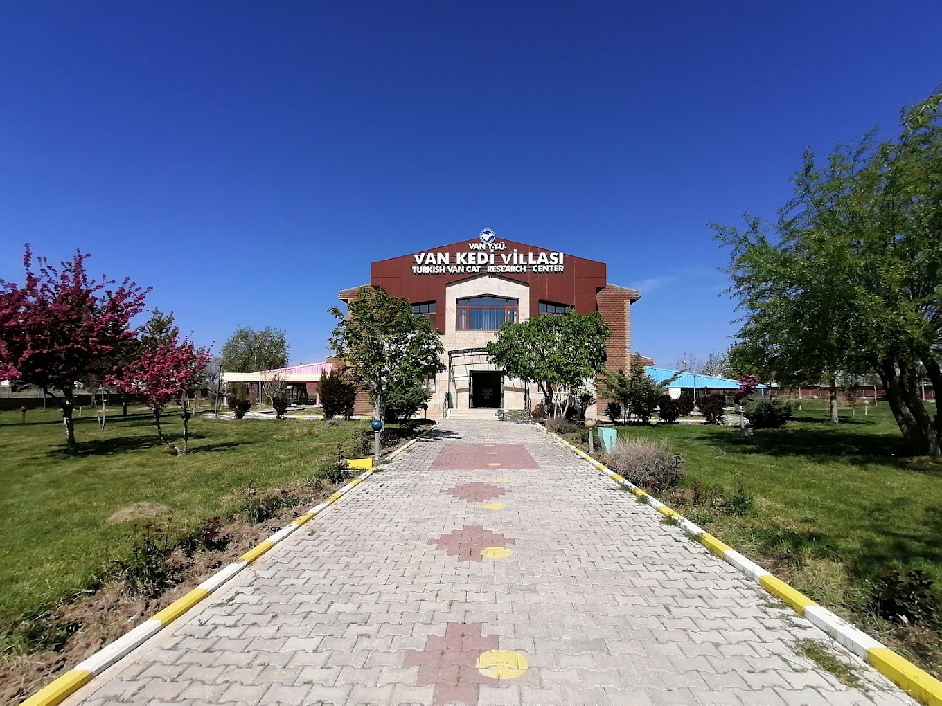image-gallery