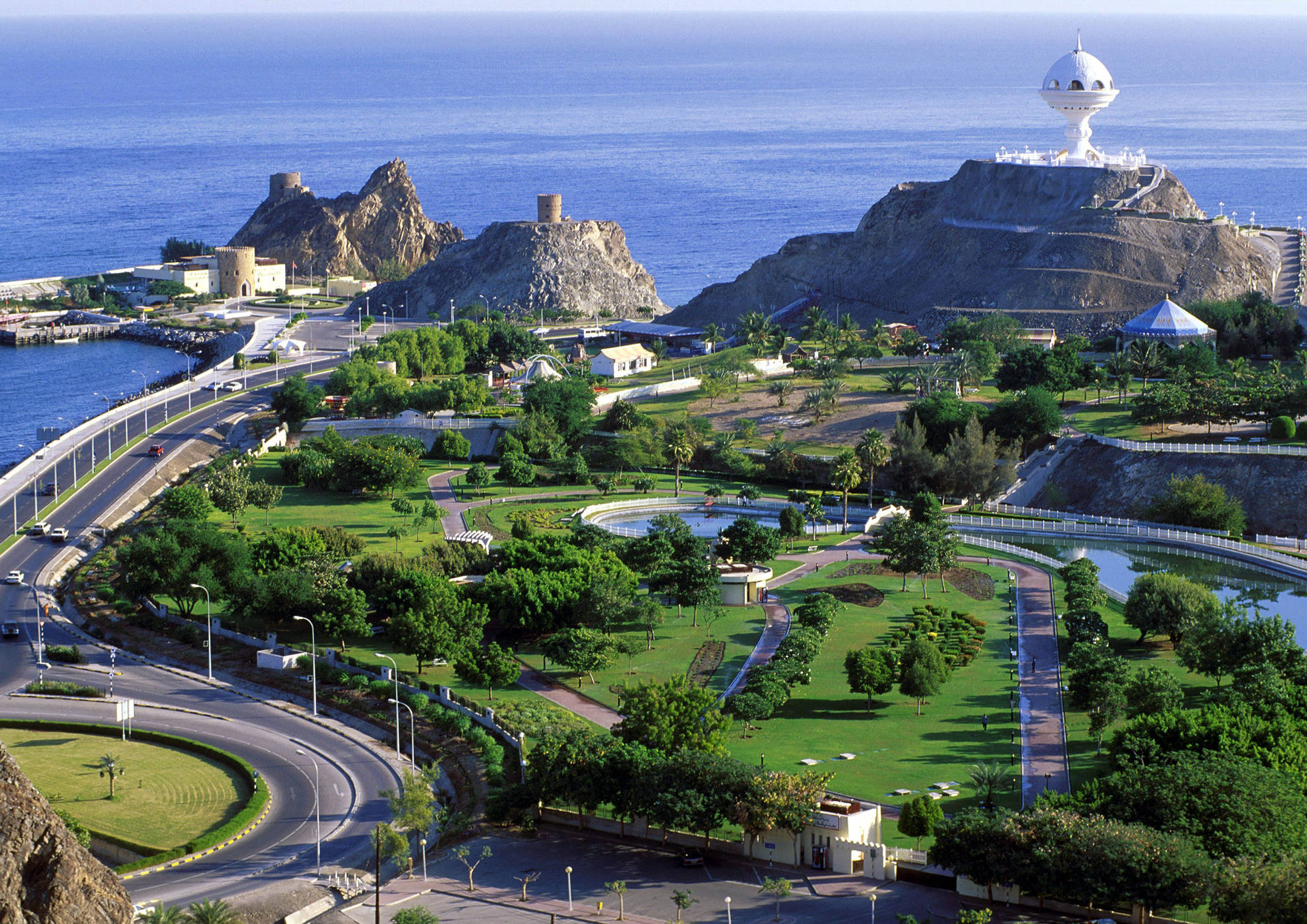 MUSCAT7.jpg
