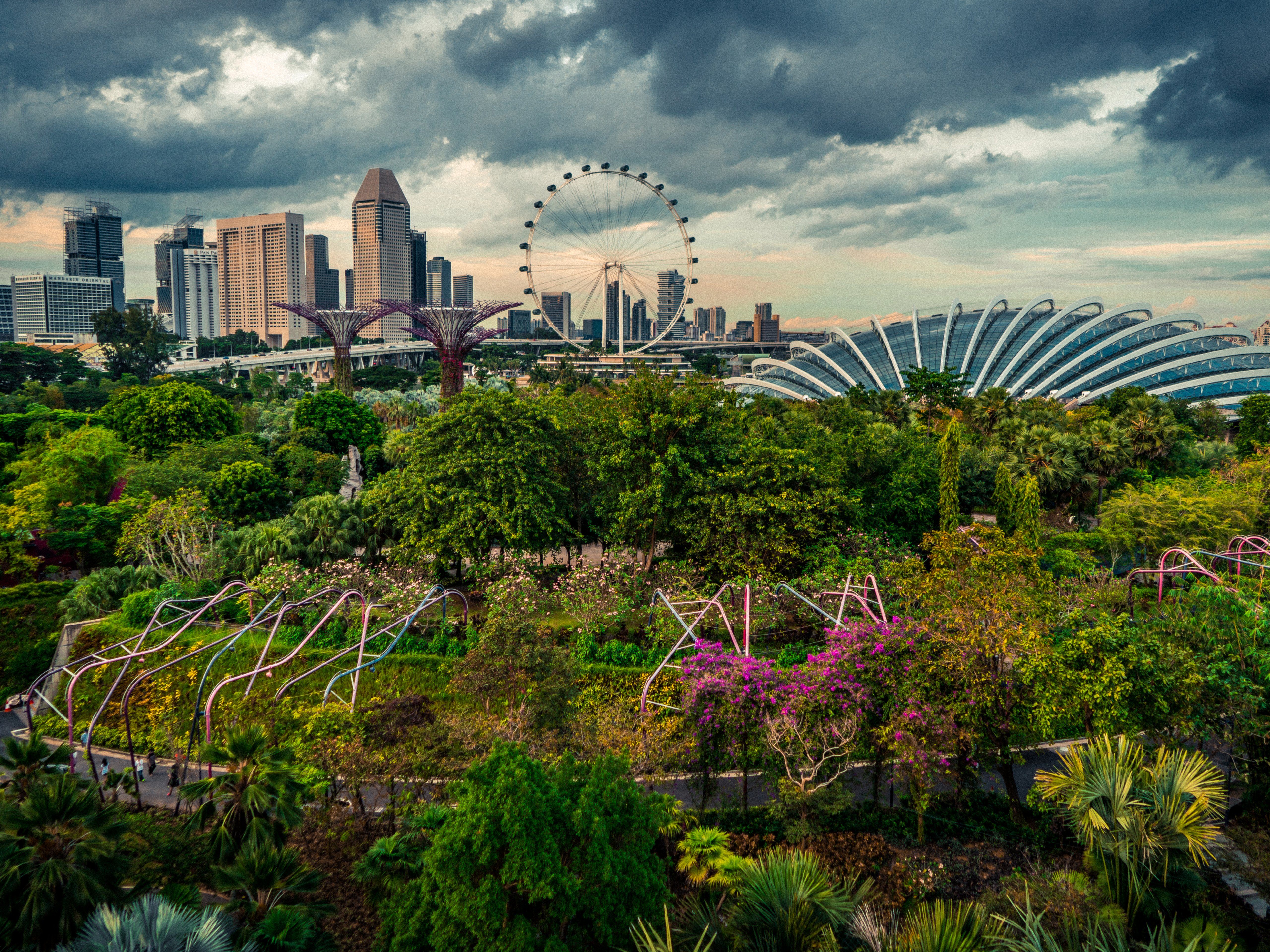 singapore3.jpg