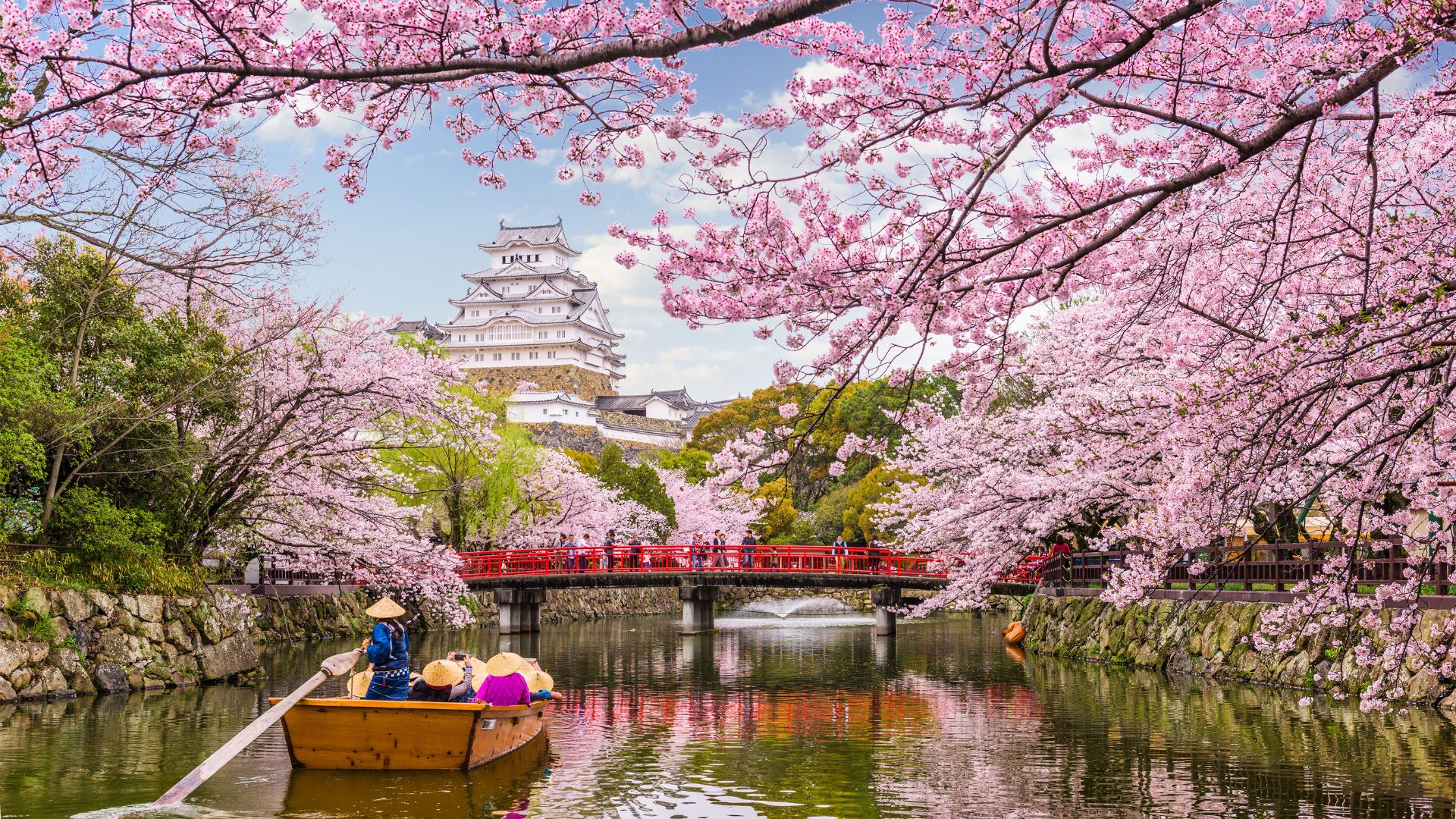 japan.jpg