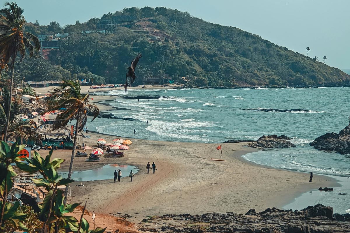 goa1.jpg