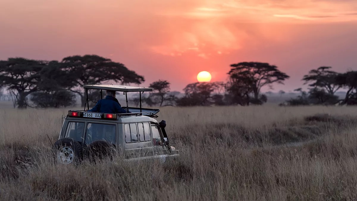 africa2_11zon.jpg