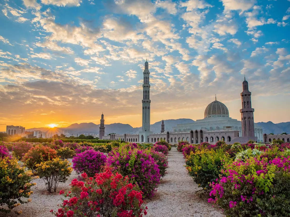 MUSCAT4.jpg