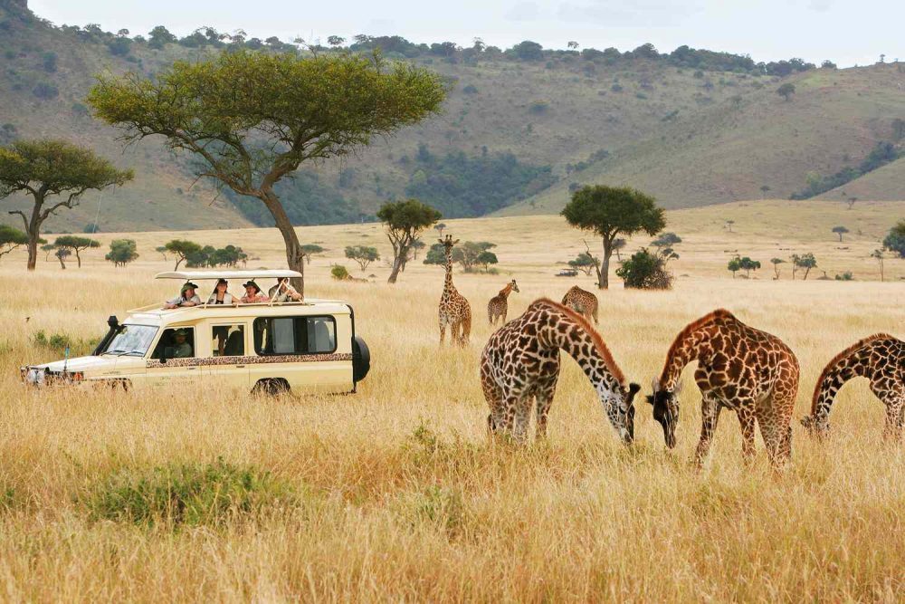 africa3.jpg