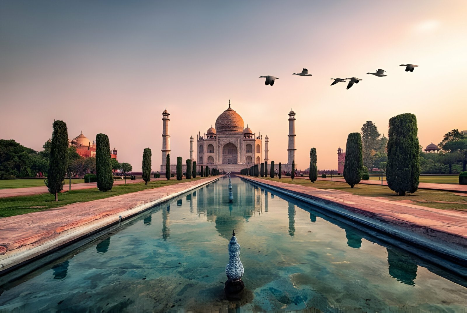 INDIA1.jpg