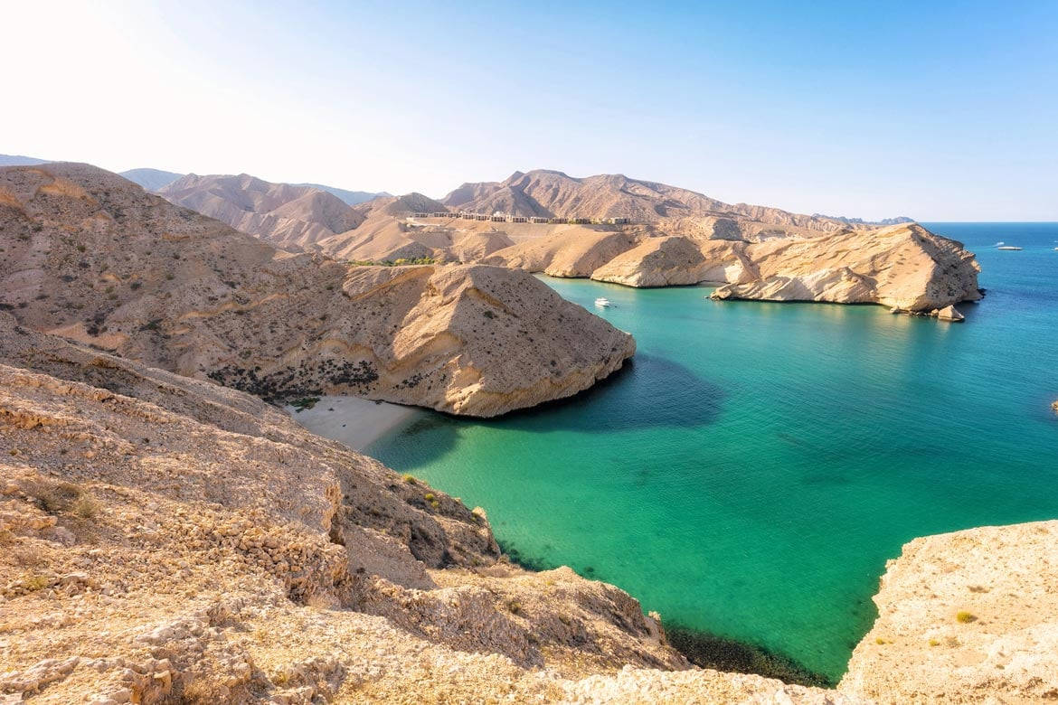 MUSCAT2.jpg